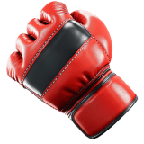 MMA Combat icon